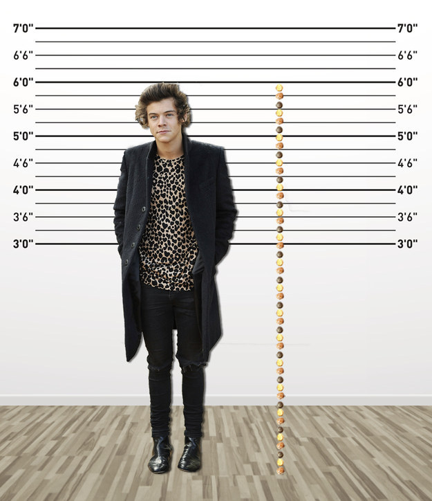 How tall is 5 11