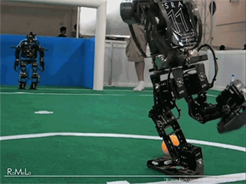 anigif_sub-buzz-10714-1464728149-6.gif