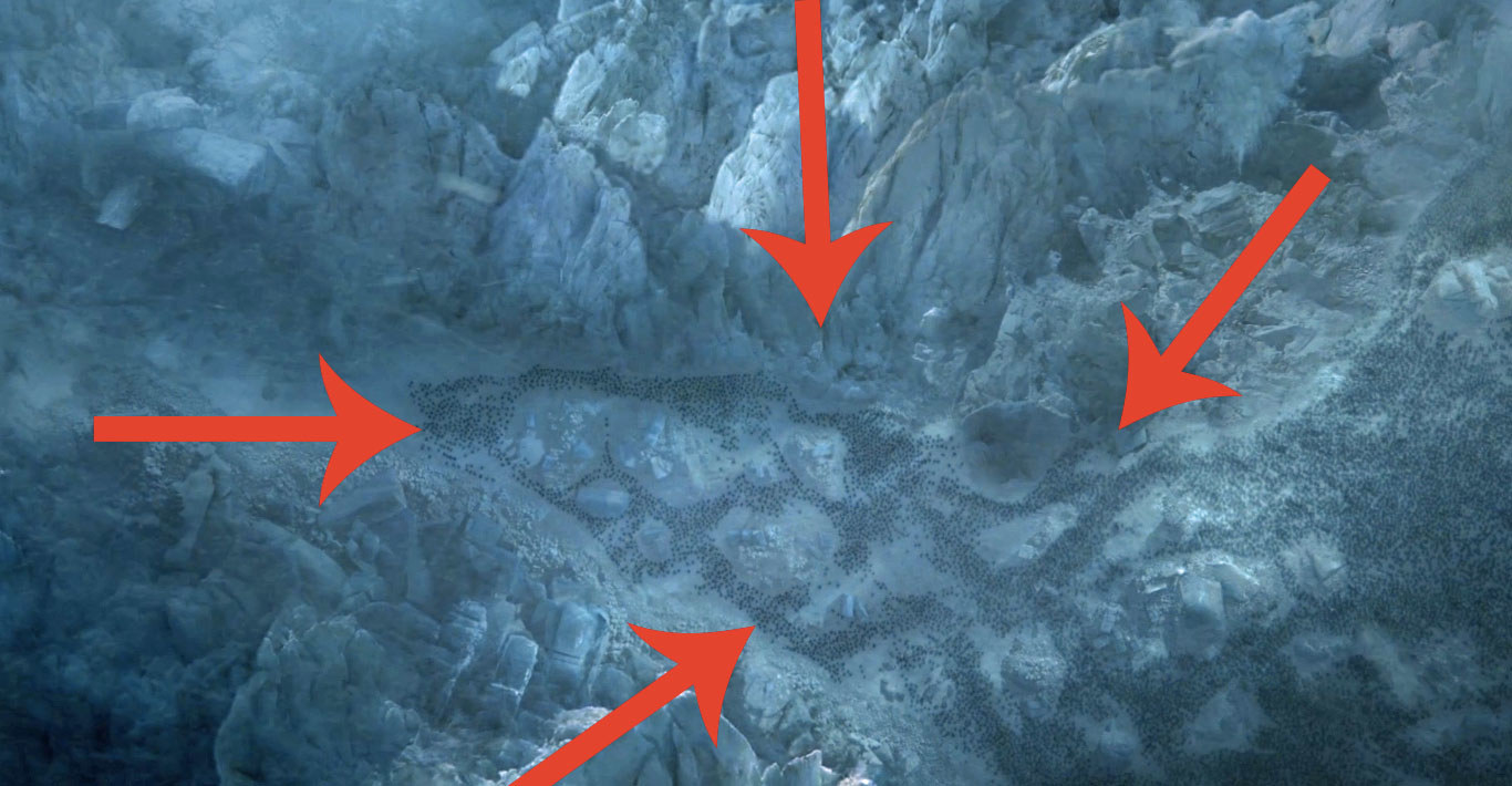 There's A Crazy-Weird Visual Clue At The End Of The "GoT" Finale