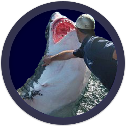Shark Lover